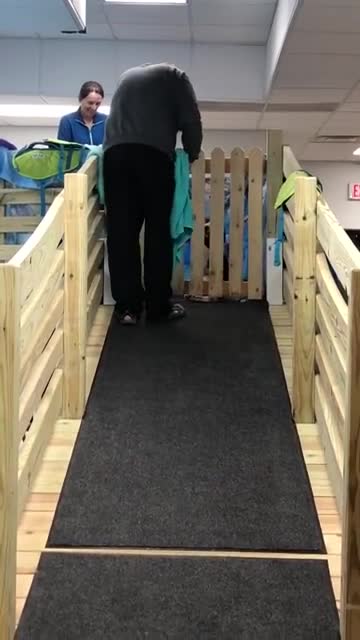 Milo - the puppy who had upside-down paws - getting stronger