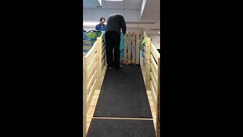 Milo - the puppy who had upside-down paws - getting stronger