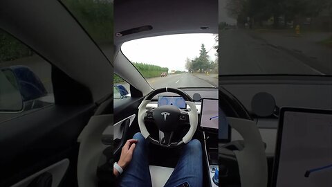 Tesla full self drive is amazing #teslafsd #insta360 #teslamodel3 #teslamodely #chatgpt
