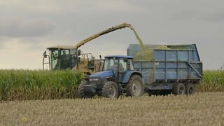 Silaging 2022 - Maize