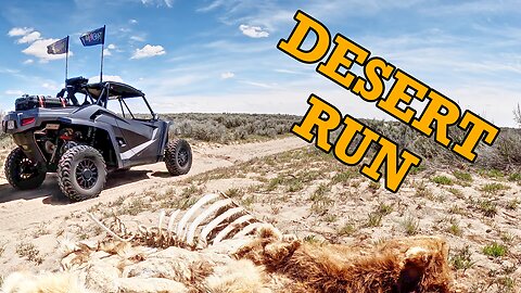 The Desert is OPEN!! Exploring Idaho in our UTVs!