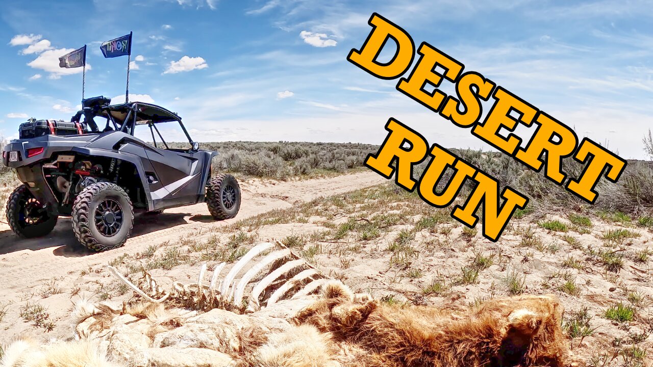 The Desert is OPEN!! Exploring Idaho in our UTVs!