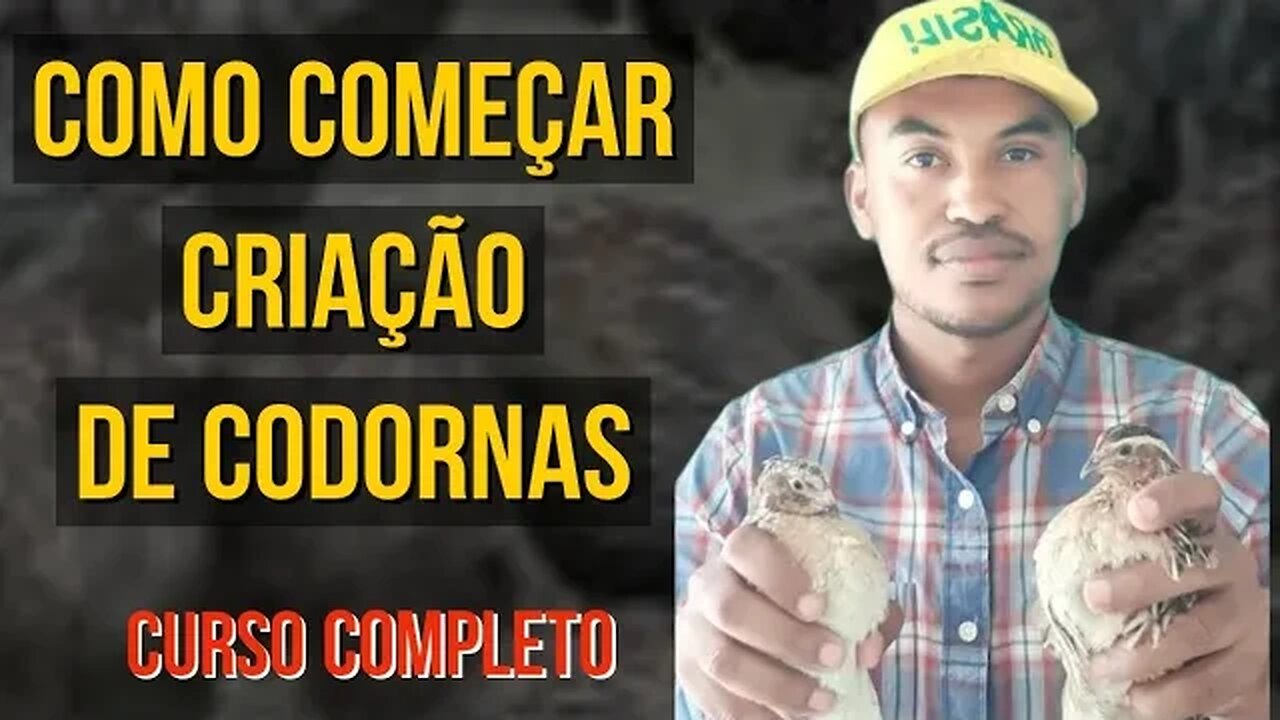 Como começar criação de codornas - curso completo para lucrar com a criação de codornas