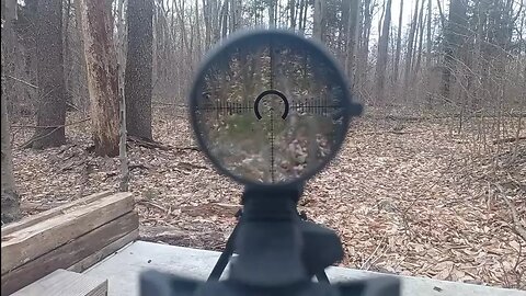 22 cal at 200 yds with Primary Arms PLX 1-8 M8 raptor