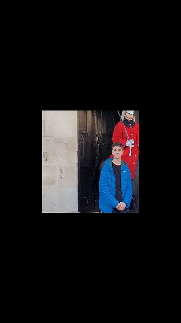 How not to approach the horse #horseguardsparade