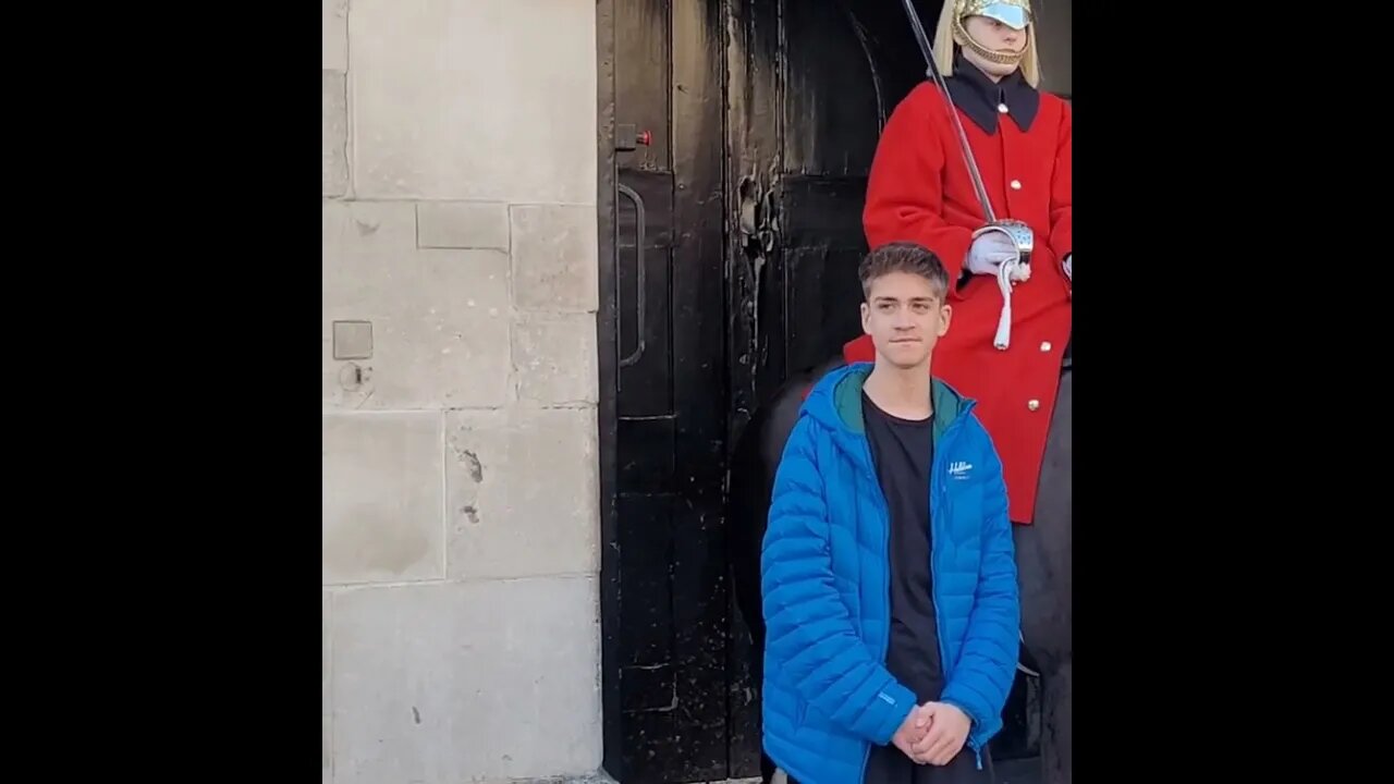 How not to approach the horse #horseguardsparade