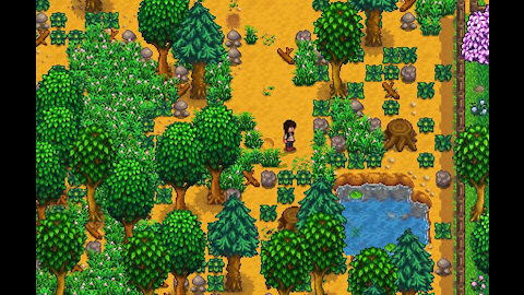 ‘Stardew Valley’s next update will feature splitscreen co-op!