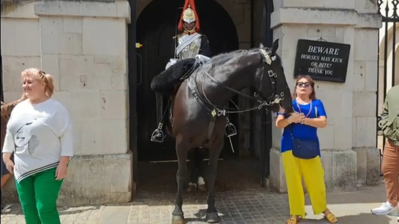 Tourist get a nudge #horseguardsparade