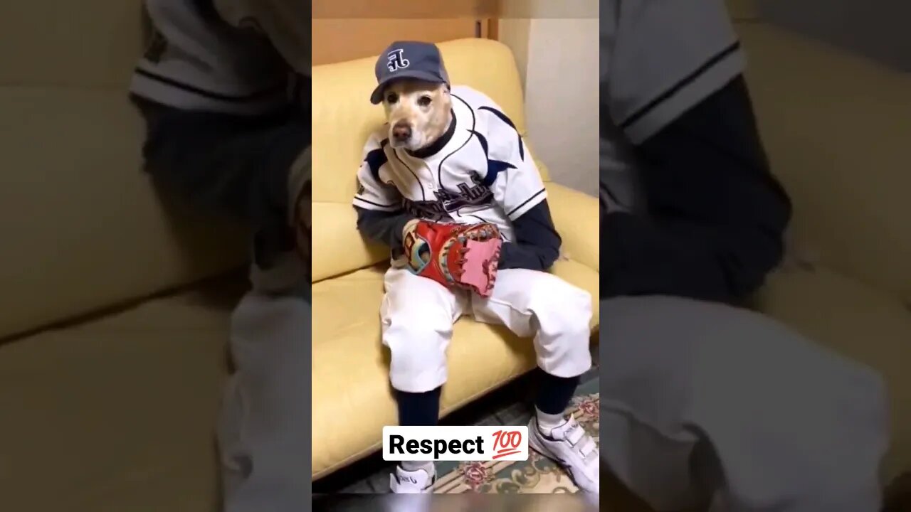 Respect 💯 #shorts #youtubeshorts #respect