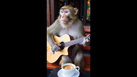 Monkey With Guitar