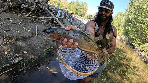 Idaho: Browns & Bows w/ The Boys! (Part 2)