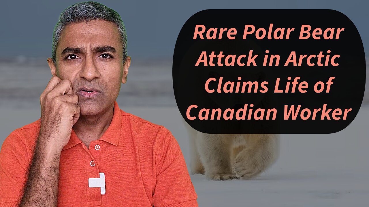 Rare Polar Bear Attack in Arctic Claims Life of Canadian Worker