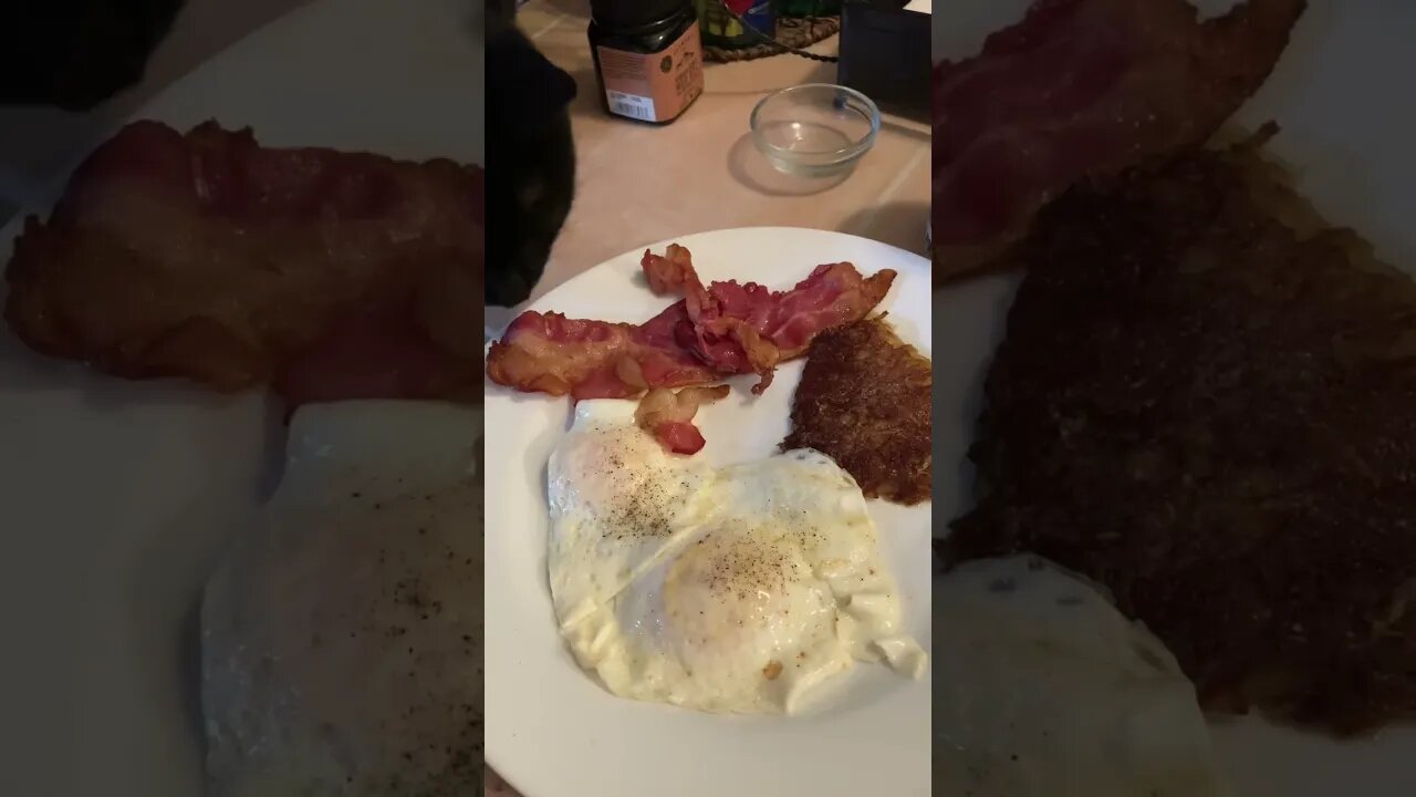 Cat Steals Bacon