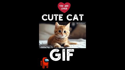 Cute Cat Gif