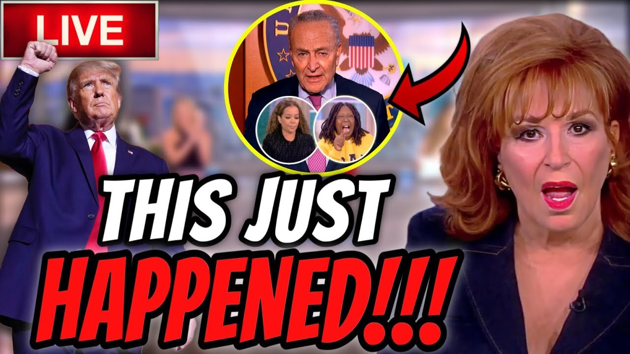 JOY BEHAR 'THE VIEW' HOST WENT OFF AND SCREAMS AT HOSTS AFTER CHUCK SCHUMER SAID THIS ABOUT TRUMP