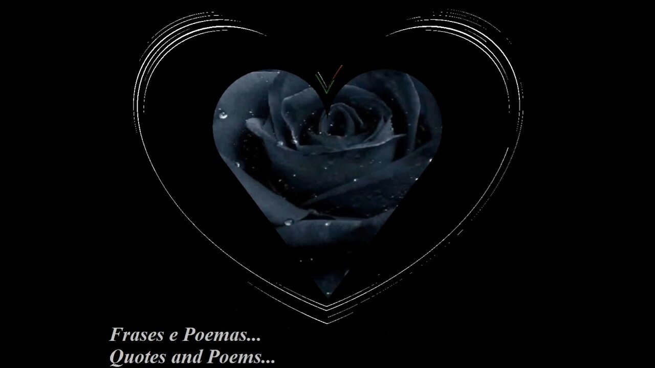 The black rose is special, it is pure darkness, brings the death... [Poetry] [Quotes and Poems]