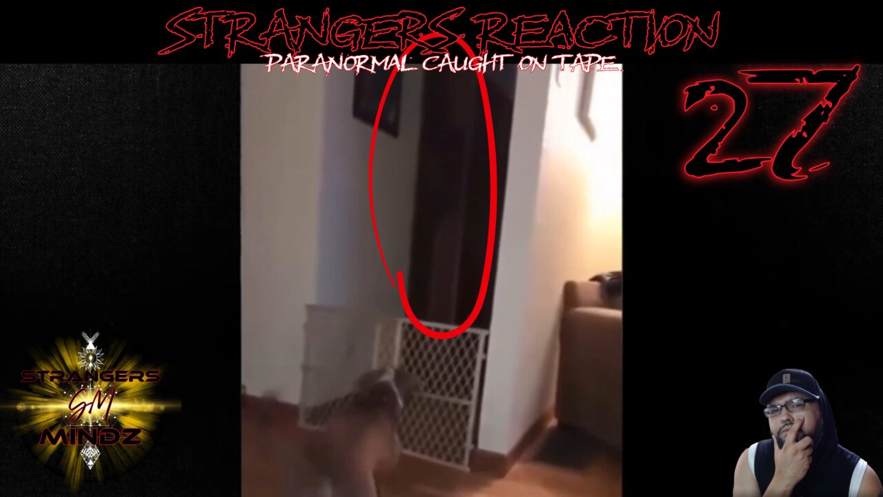 STRANGERS REACTION. Paranormal Caught On Tape. Paranormal Investigator Reacts. Episode 27