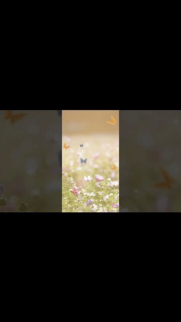 1 Minute Meditation I'M GRATEFUL FOR A PRODUCTIVE DAY #shorts #youtubeshorts #1minutemeditation