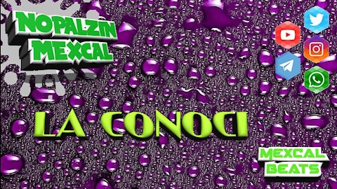 LA CONOCI
