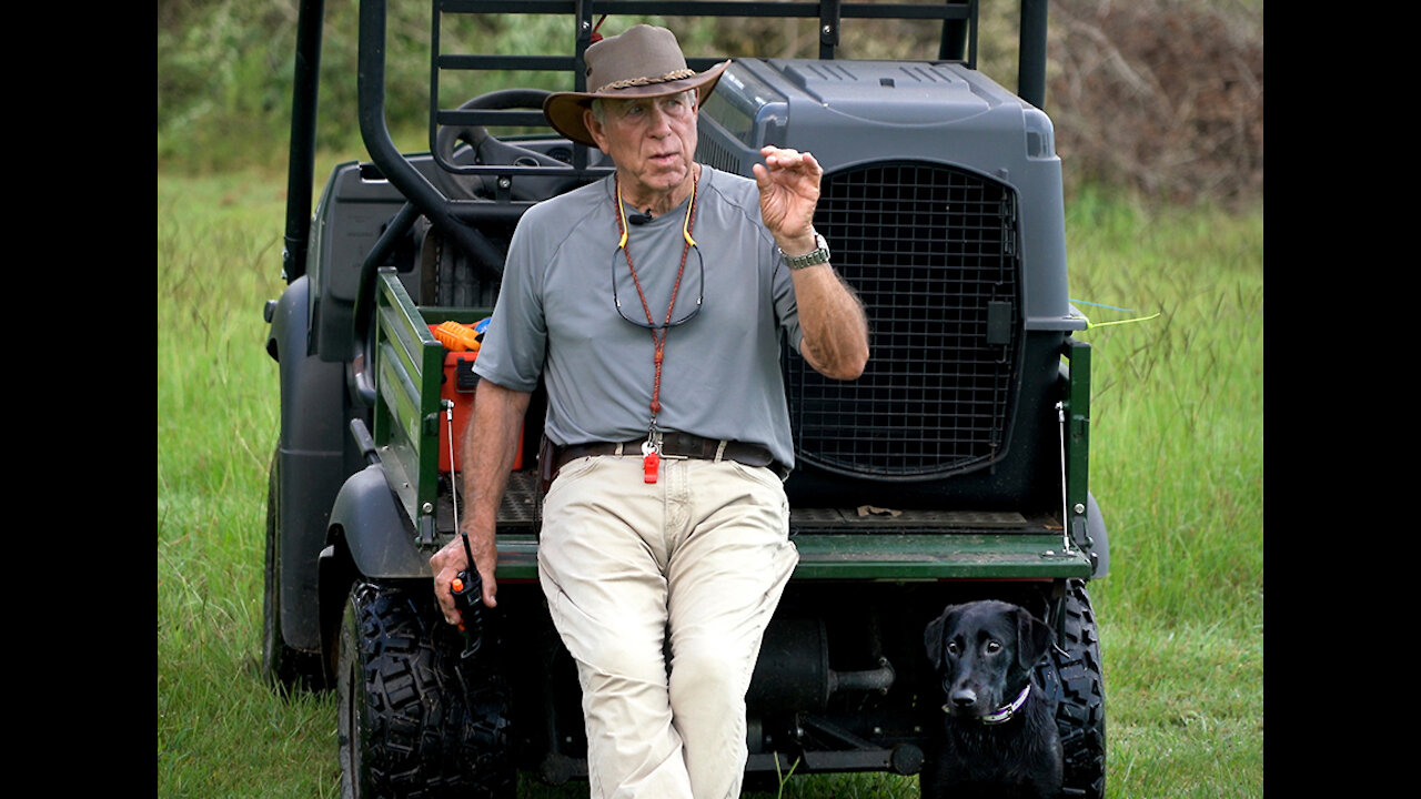 Conditioning to the Electric Collar for all Breeds w Bill Hillmann