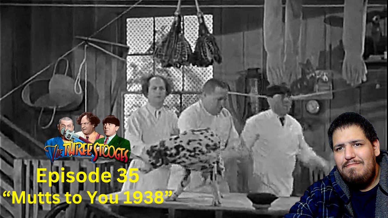 The Three Stooges | Mutts to You 1938 | Episode 35 | Reaction