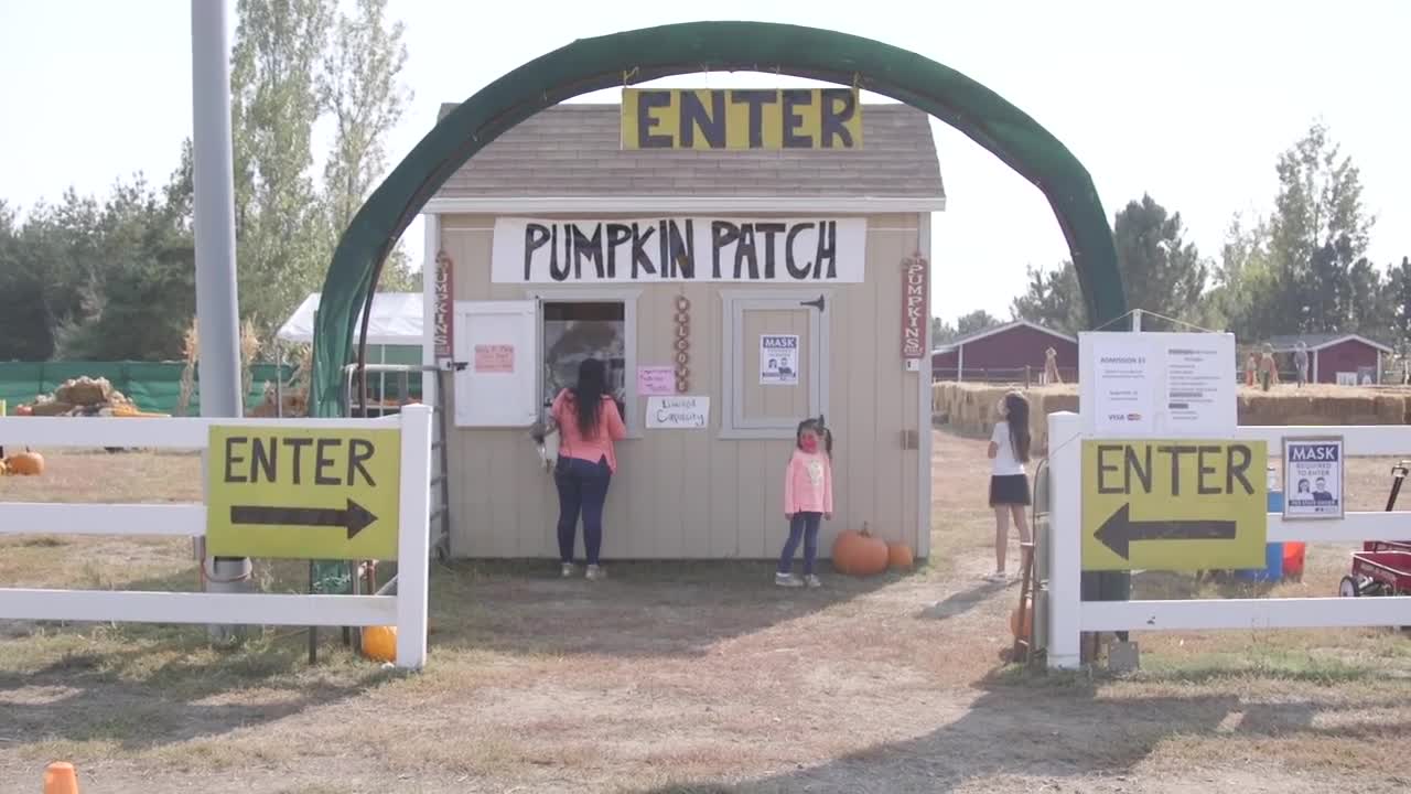 Discover Colorado’s Cottonwood Farms, aka ‘pumpkin patch’ to generations of kids