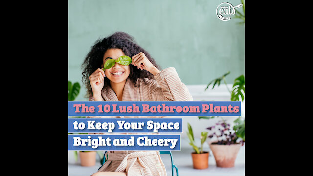 The 10 Lush Bathroom Plants to Keep Your Space Bright and Cheery