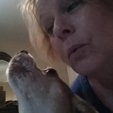 Funny Little Dog Loves To Sings