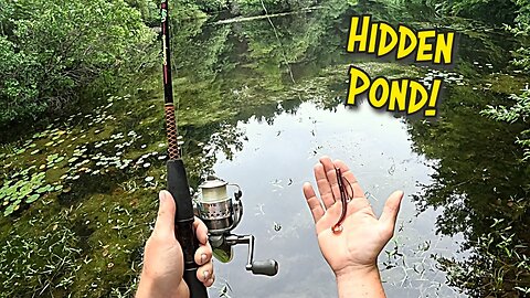 Fishing Hidden Ponds DEEP In The Woods!