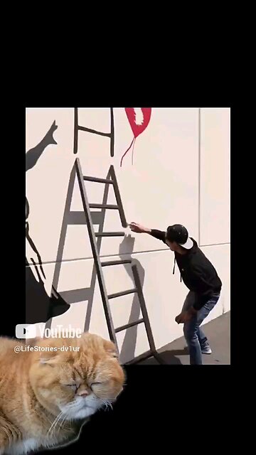 Cat loves watching Zach King 😁🤣🔥