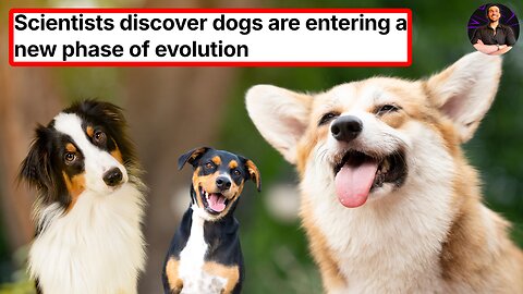 Man's Best Friend is Getting Even Better! Dogs Are Evolving in Incredible New Ways!