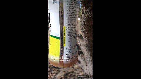 Quick Review of Two Fly Traps One Worked and One Did Not