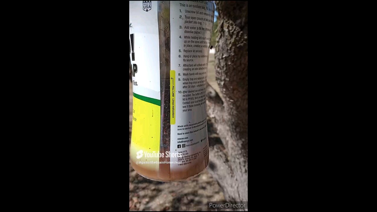 Quick Review of Two Fly Traps One Worked and One Did Not