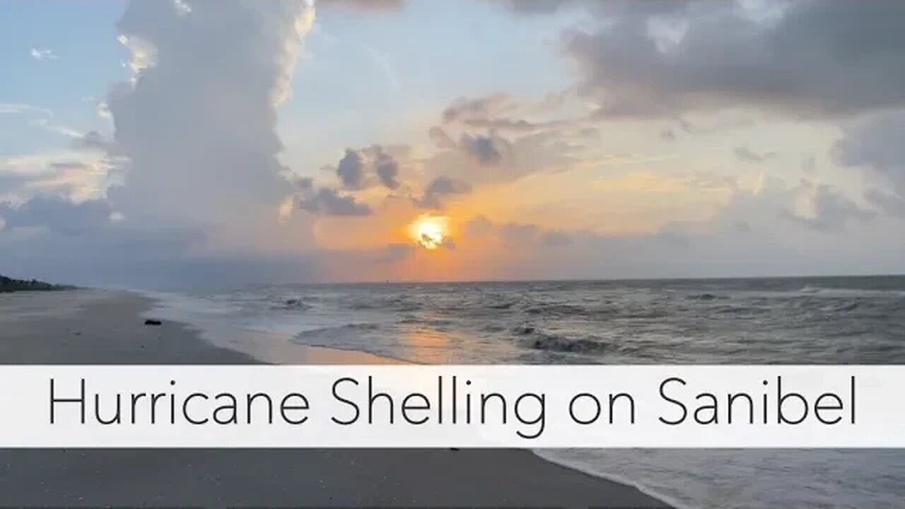 Looking for seashells after a hurricane. I had Sanibel Island to myself!