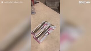Homem tem motivo estranho para comprar dois rímeis!