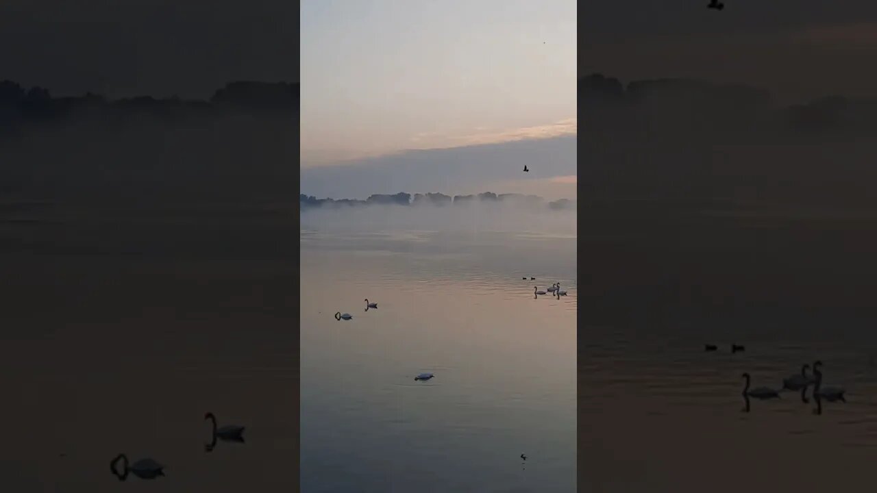 Јутро на Дунаву