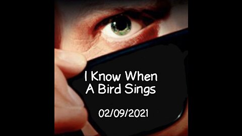 I Know When A Bird Sings!