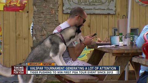 Local businesses seeing increased business