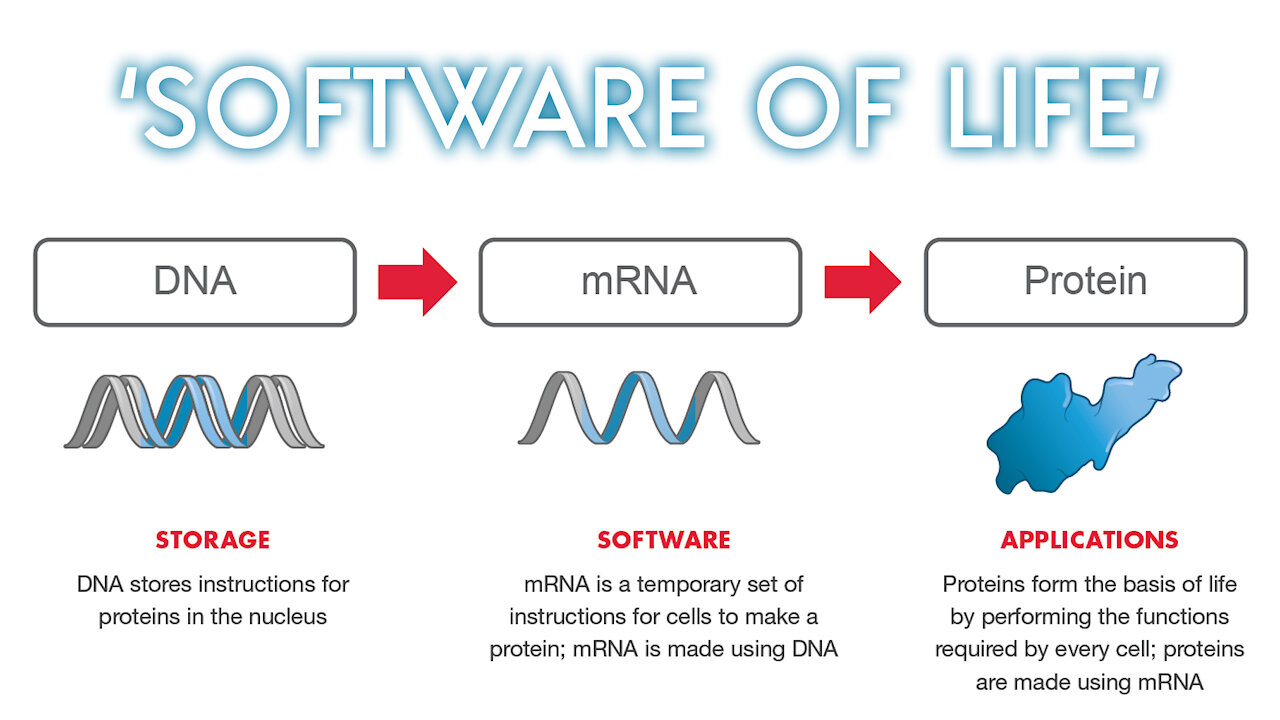 Covid-19 mRNA 'Vaccine' Is A 'Software' + mRNA Adverse Effects So Far (In The US)