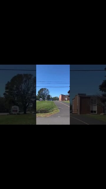 One Side of Trees are Missing Their Leaves