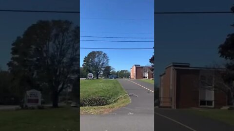 One Side of Trees are Missing Their Leaves