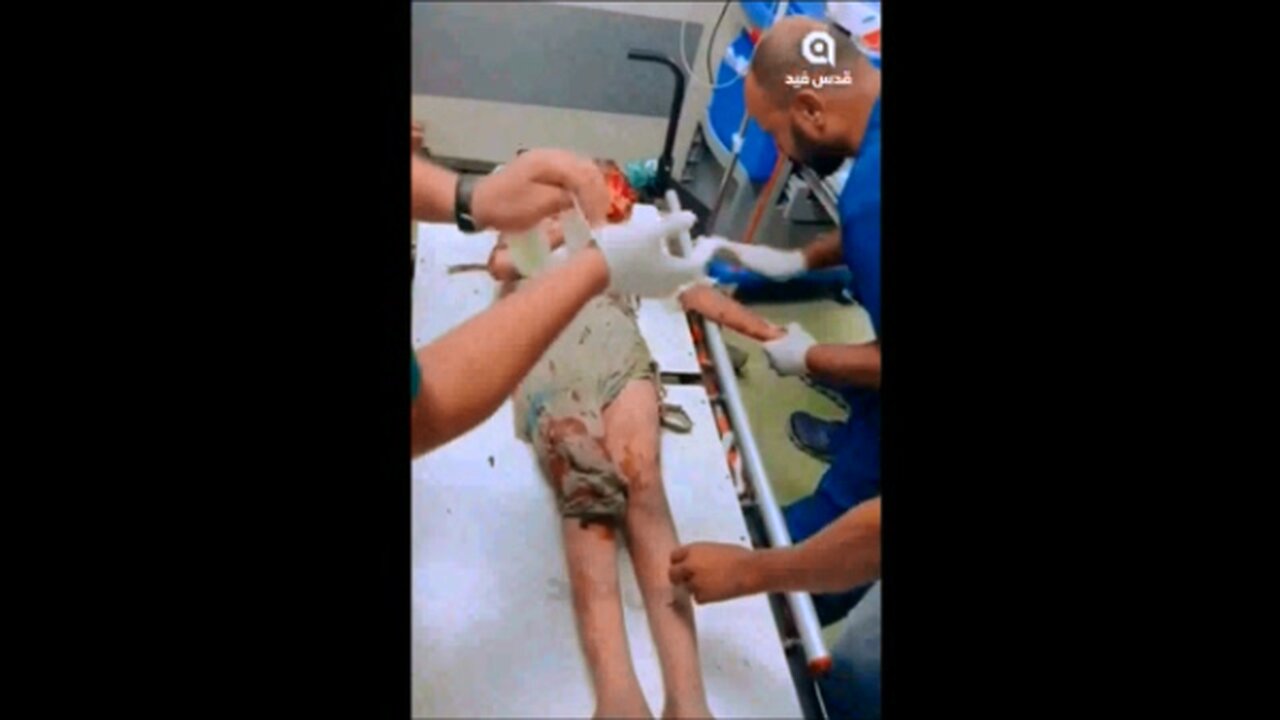 Times of Gaza compilation (8/27/24)