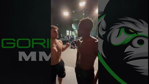 Sodiq Yusuff vs Don Shainis: UFC Vegas 61 Face-off