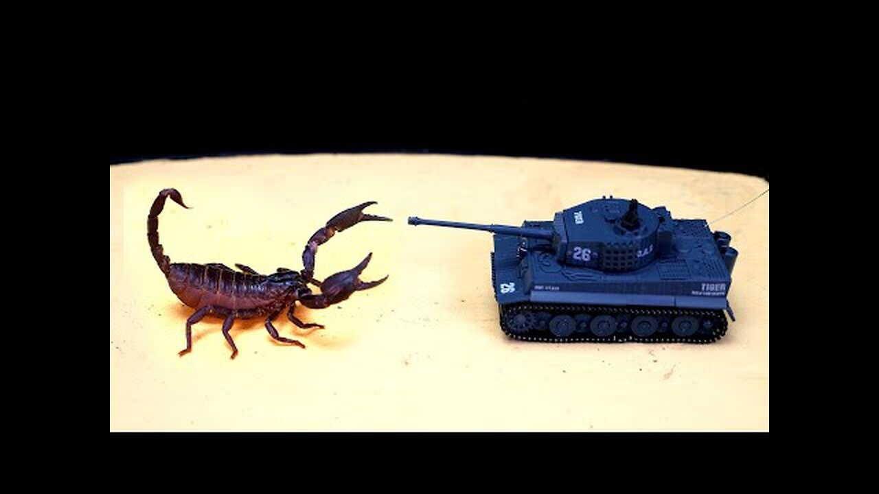 SCORPION and RC MINI TANK 😀