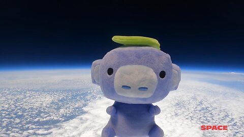 We Sent Wumpus Into Space