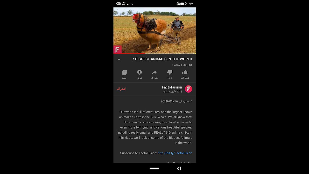 7 Biggest ANMALS IN The World