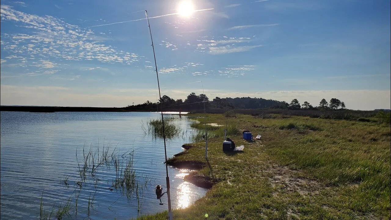 New Fishing Spot (Guinea Marsh WMA) Long Creek