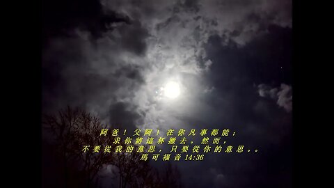 今天的每日聖經經文Jīntiān de měi rì shèngjīng jīng wén