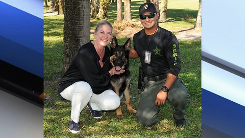 Palm Beach County K-9 deputy gets new partner following death of Cigo