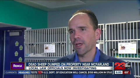 Dead animals dumped on property